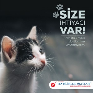 ONLARIN BİZE İHTİYACI VAR !