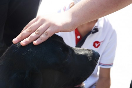 4 EKİM HAYVANLARI KORUMA GÜNÜ'NDE, ÖĞRENCİLERİMİZ KÖPEK BARINAĞINI ZİYARET ETTİ