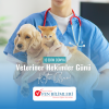 DÜNYA VETERİNER HEKİMLER GÜNÜ