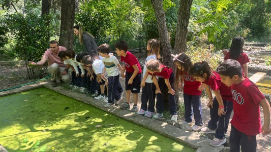 ANASINIFI ÖĞRENCİLERİMİZ İLE EGE ÜNİVERSİTESİNDE BULUNAN BOTANİK BAHÇESİ GEZİMİZİ GERÇEKLEŞTİRDİK.